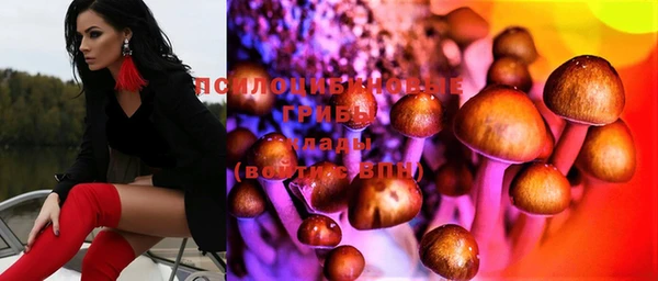 дмт Ветлуга