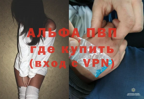 дмт Ветлуга