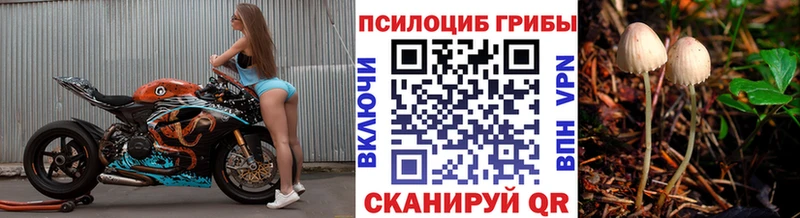 даркнет сайт  Карабаш  Псилоцибиновые грибы прущие грибы 